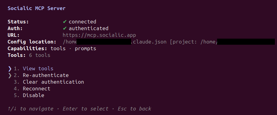 Claude Code's Socialic MCP Server screen after successful authentication: Status connected, Auth authenticated, Capabilities tools · prompts, Tools 6 tools