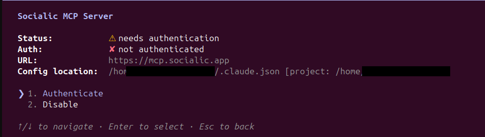 The Socialic MCP Server detail screen in Claude Code before authenticating: Status needs authentication, Auth not authenticated, URL https://mcp.socialic.app, with options 1. Authenticate and 2. Disable